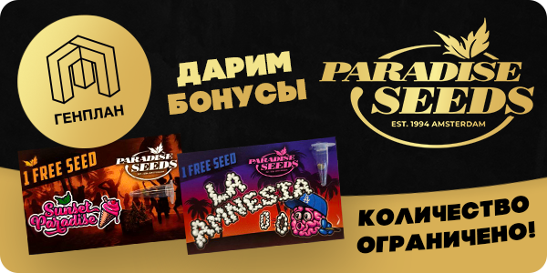 Успей забрать свой бонус!