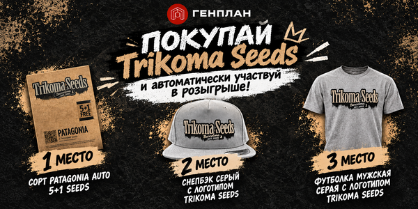 Заказал Trikoma Seeds? Теперь ты участник розыгрыша!