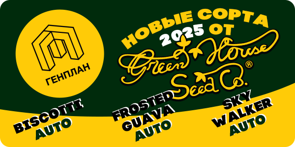 Новые сорта от Green House Seeds!
